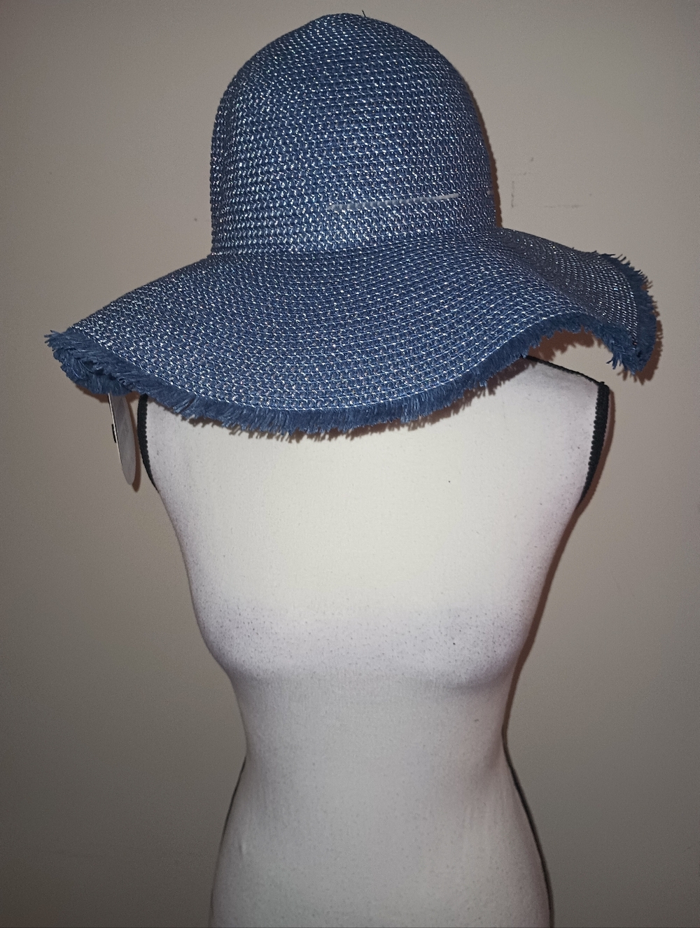 Robin Ruth Wide-Brim Straw Hat in Denim Blue and Silver
